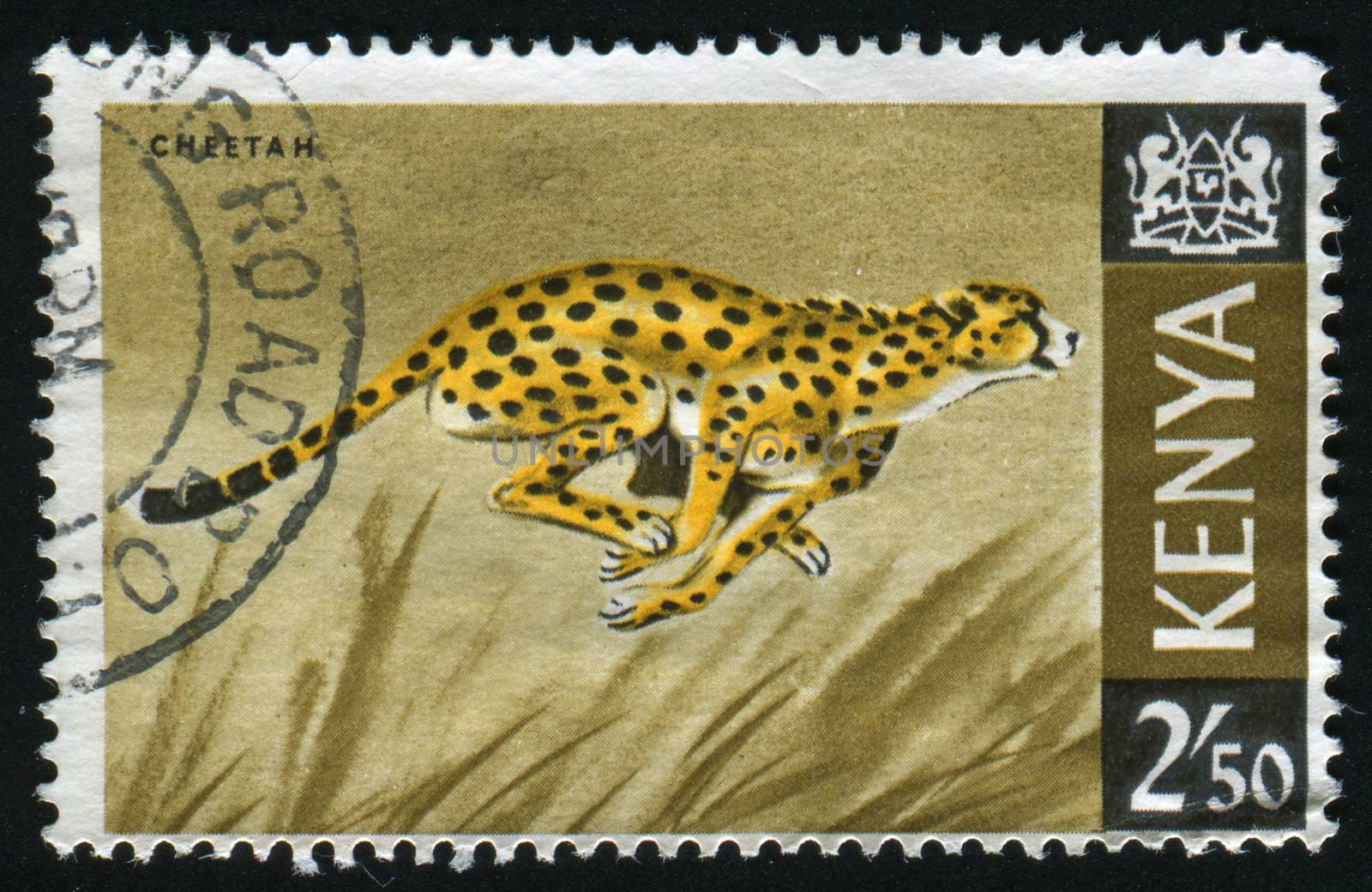 KENYA - CIRCA 1964: The wild nature of Kenya, circa 1964.