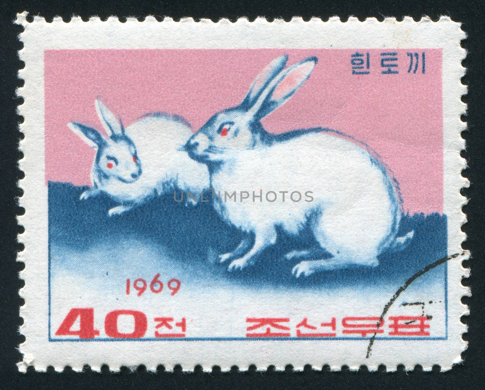 NORTH KOREA - CIRCA 1969: Two white rabbits play, circa 1969.