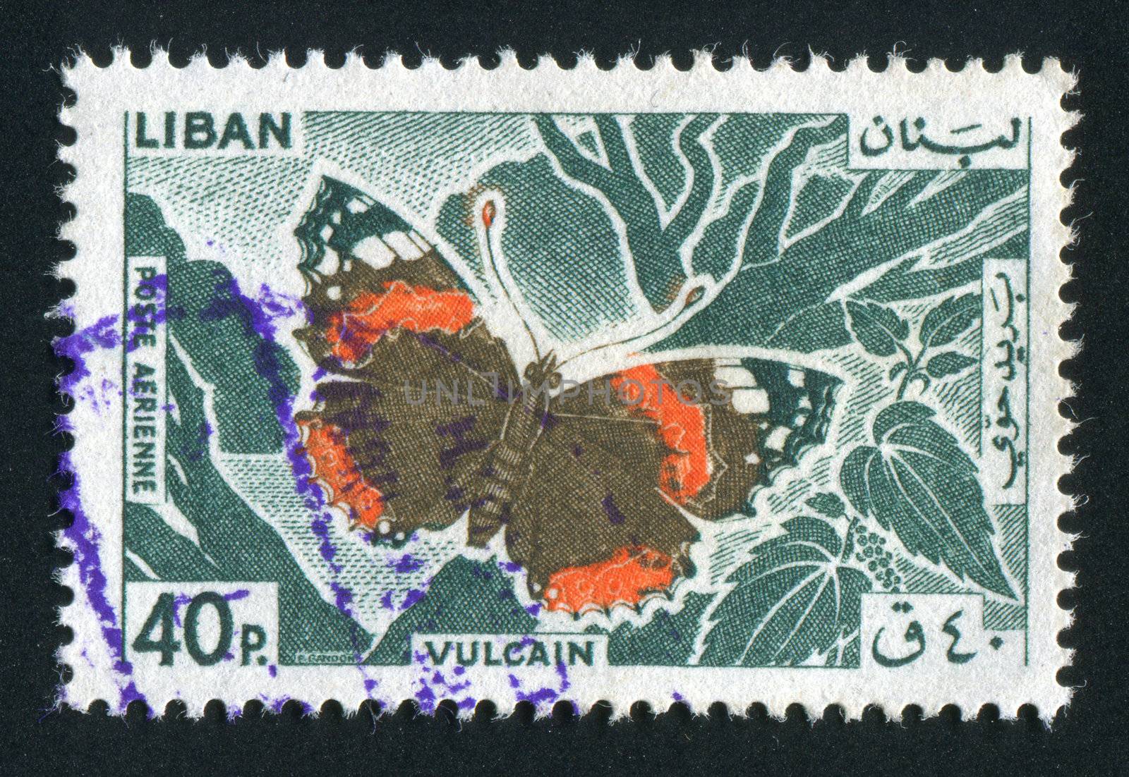 LEBANON - CIRCA 1997: A Butterfly is an insect of the order Lepidoptera, circa 1997.