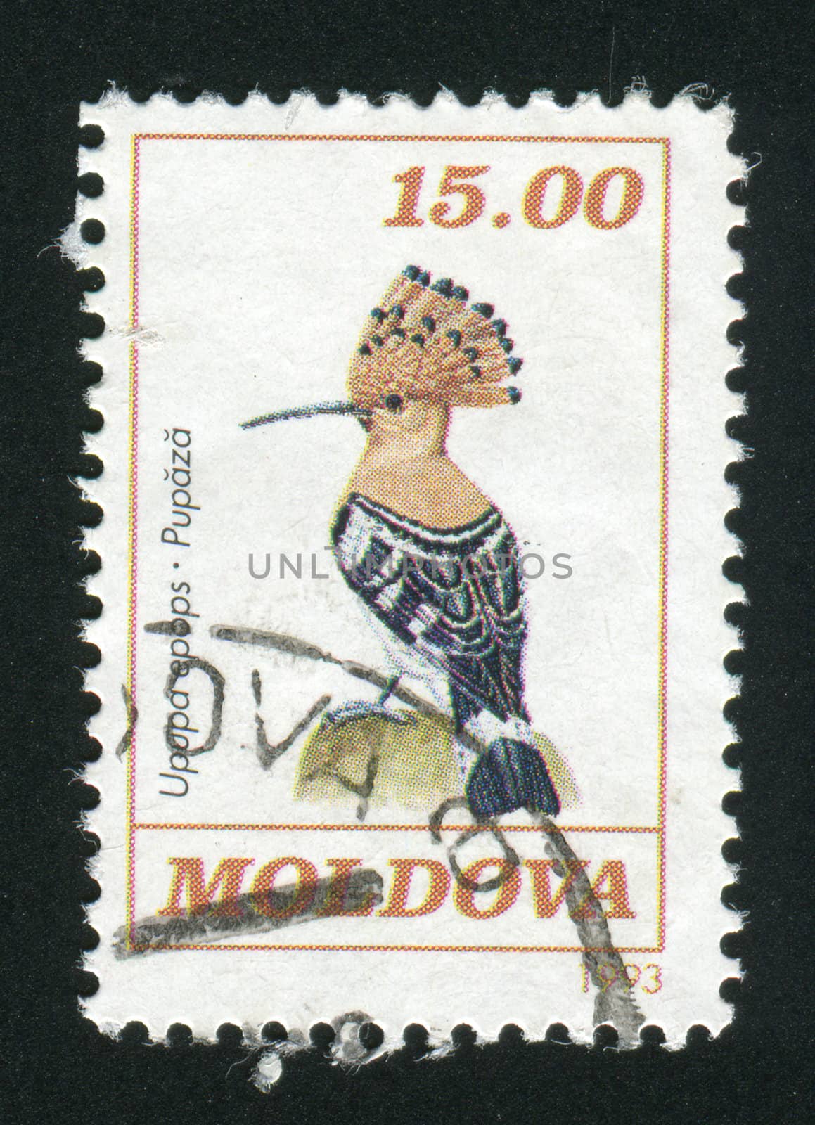 MOLDOVA - CIRCA 1993: Bird on a branch, circa 1993.