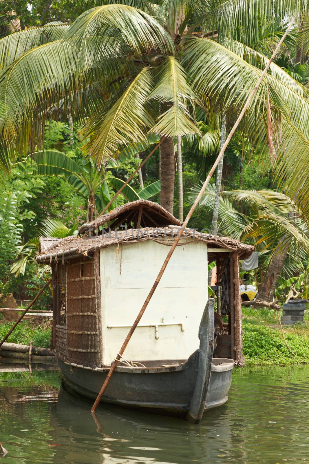 Houseboat on Kerala backwaters, India by dimol