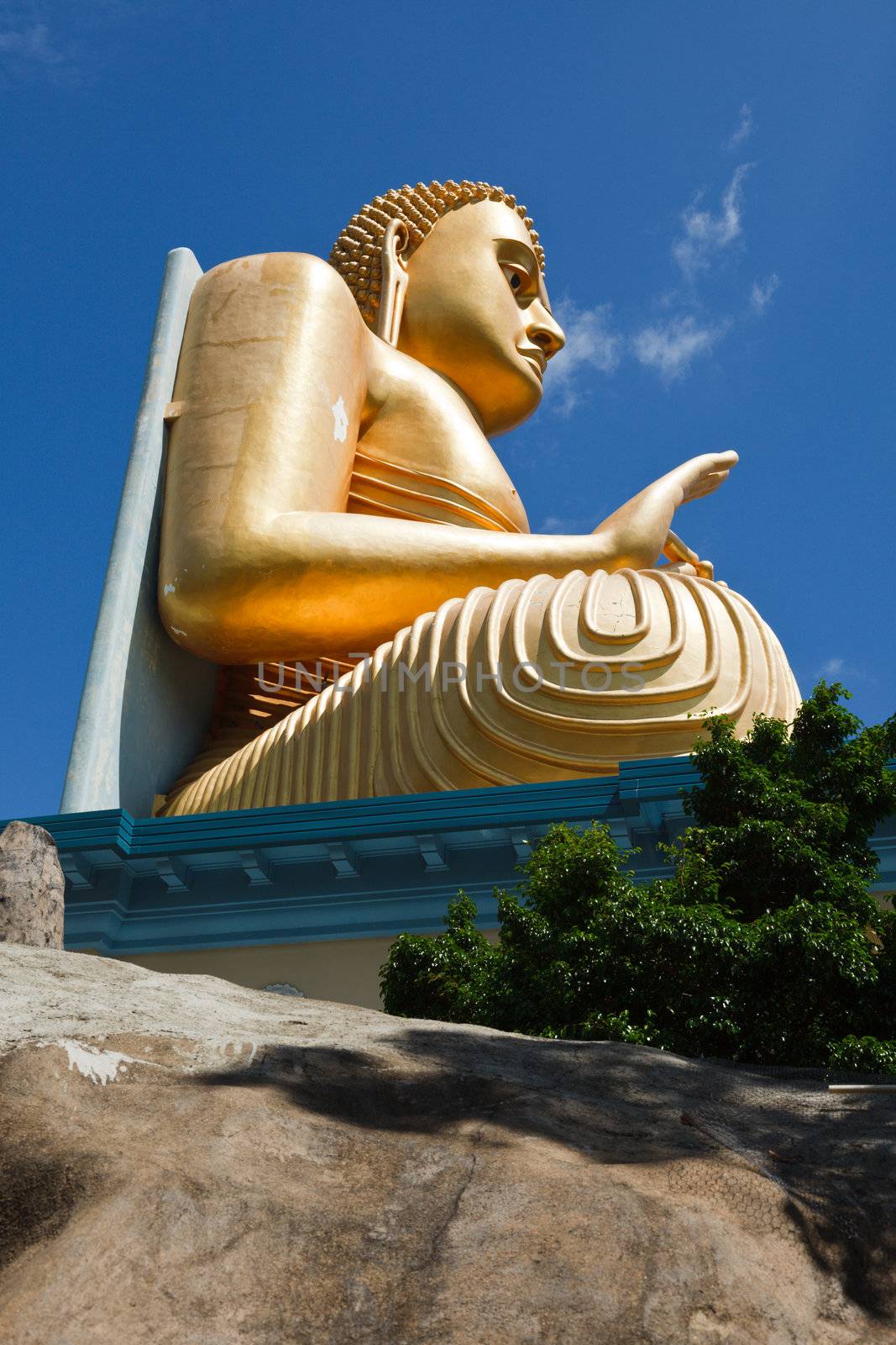 Gold Buddha by dimol