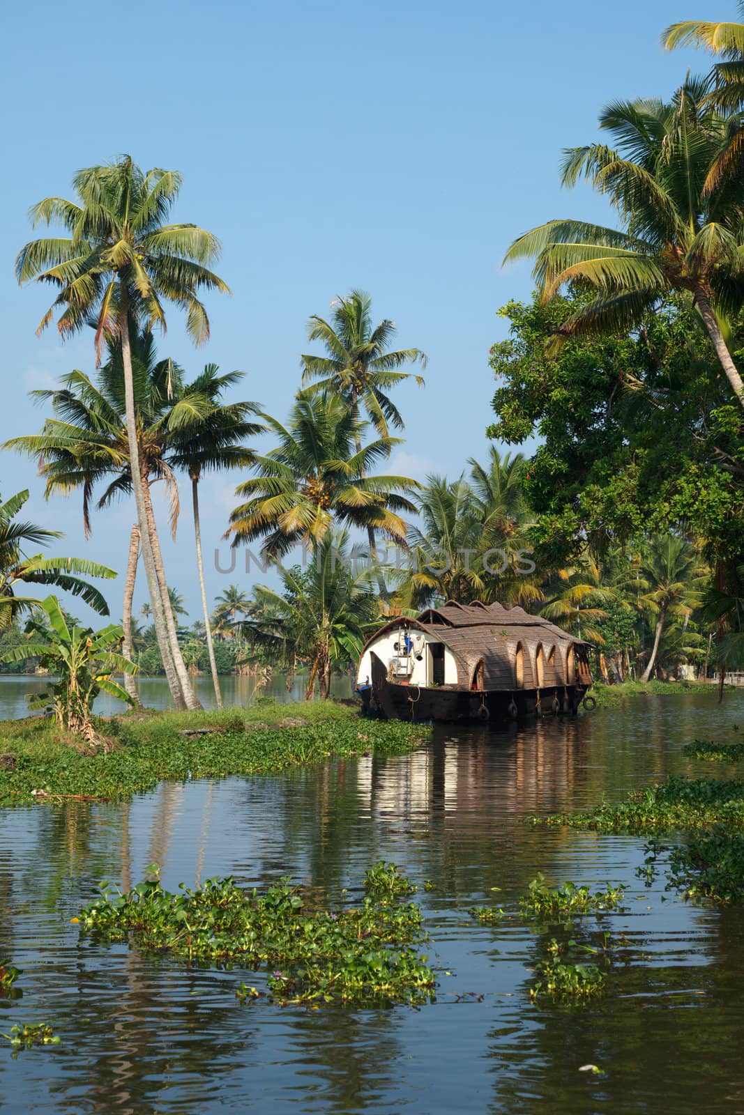 Traditional houseboat on Kerala backwaters. Kerala, India