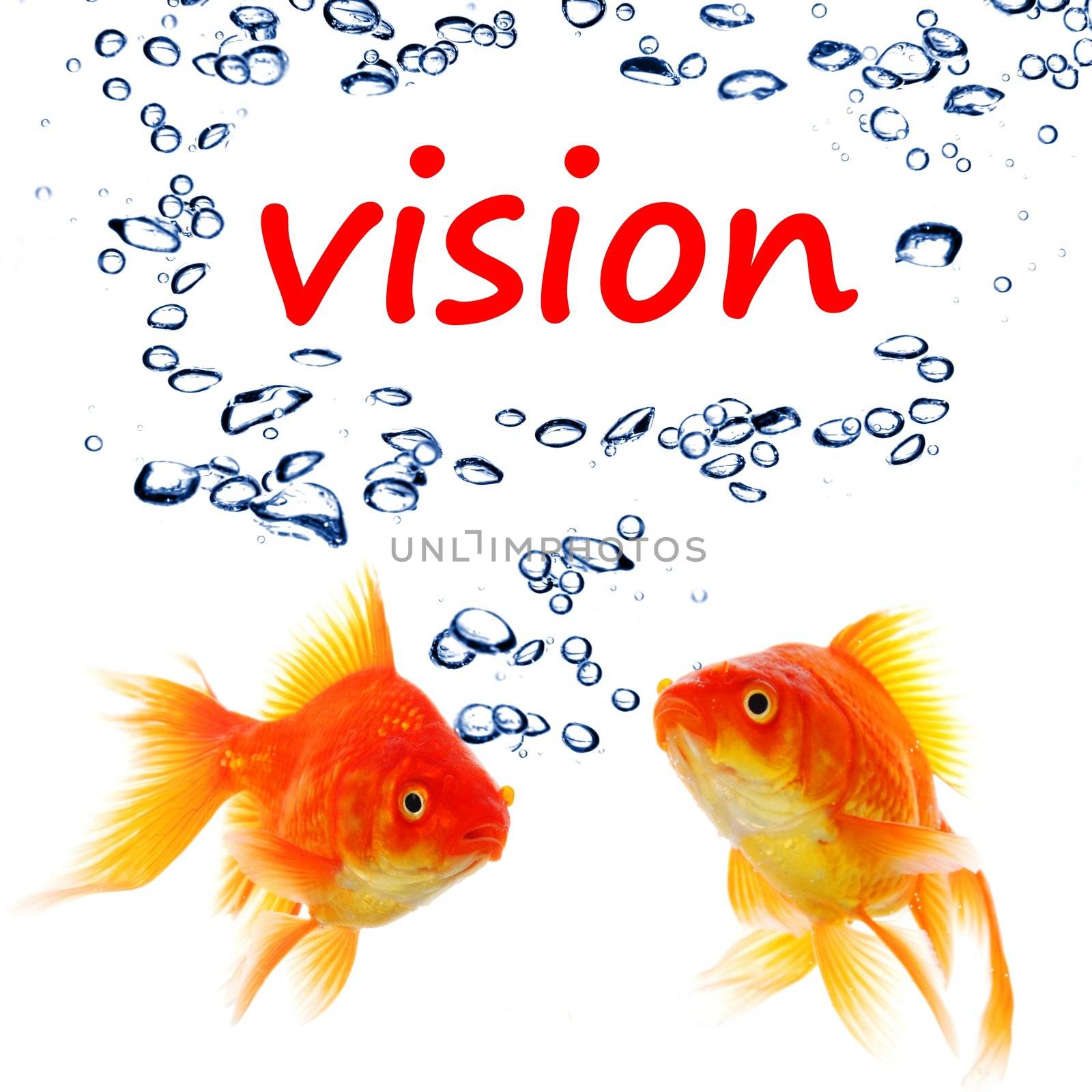 vision wird and goldfish showing business creativity or future telling concept