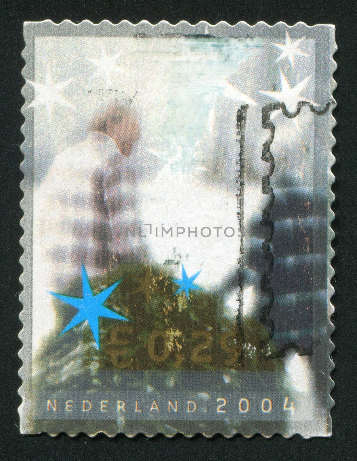 NETHERLANDS - CIRCA 2004: People dragging Christmas tree, circa 2004.