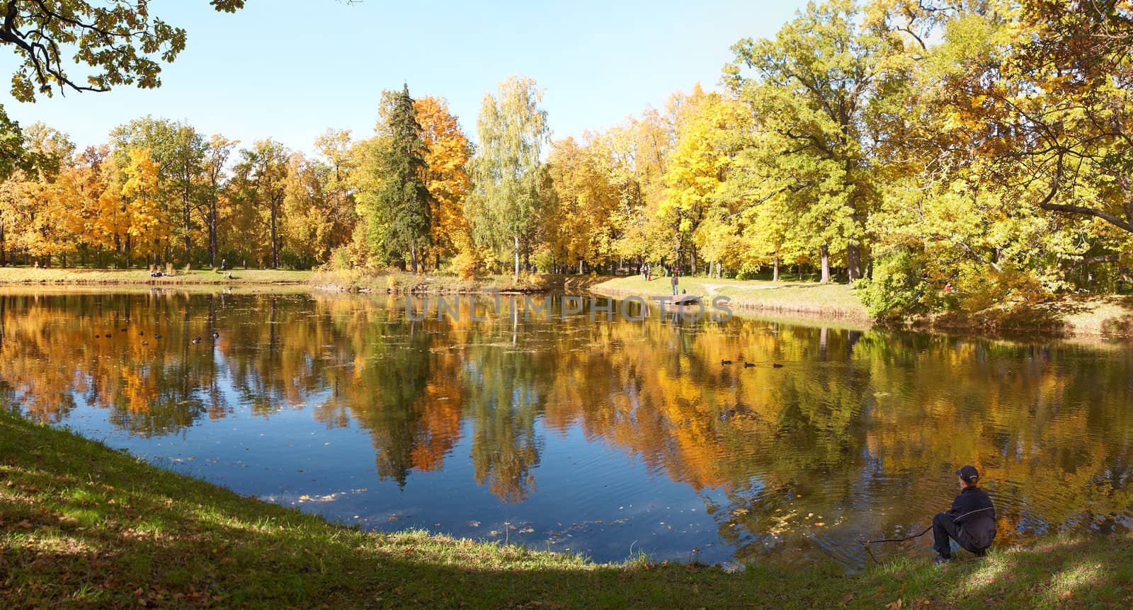 Teen Enjoys the autumn Fall Alone near pond in park