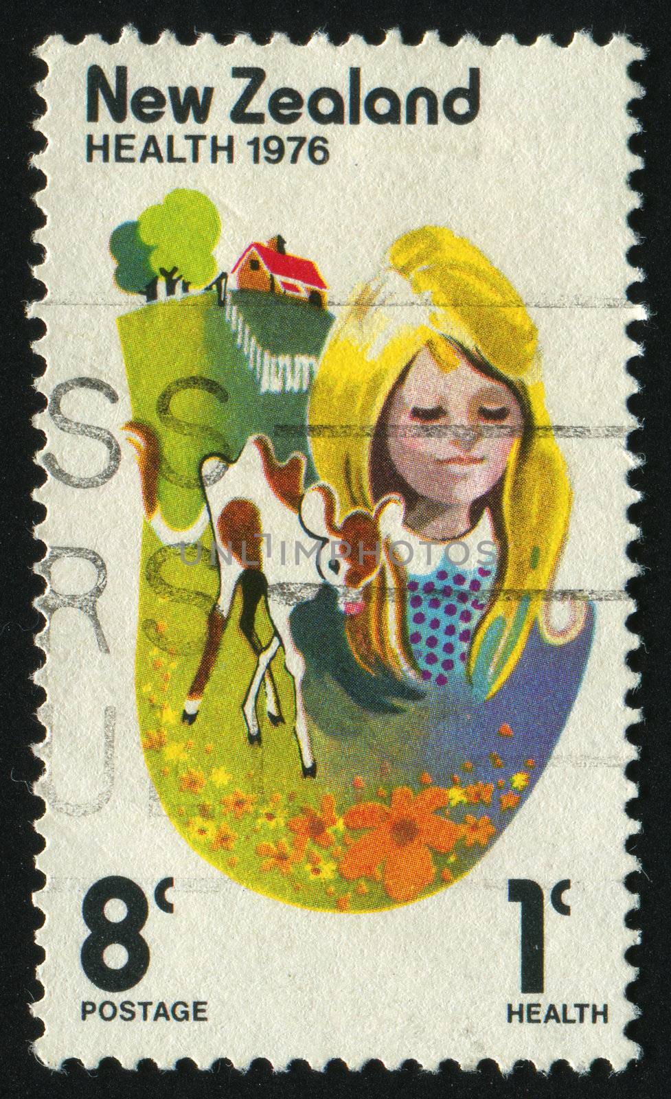 NEW ZEALAND - CIRCA 1976: Farm girl and calf, circa 1976.