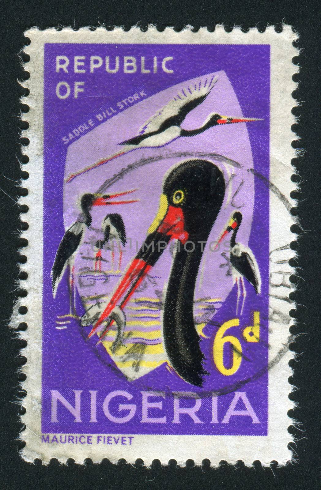 NIGERIA - CIRCA 1965: Saddle - billed storks, circa 1965.