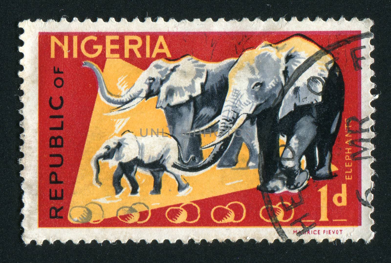 NIGERIA - CIRCA 1965: Fauna of Nigeria. elephant, circa 1965.