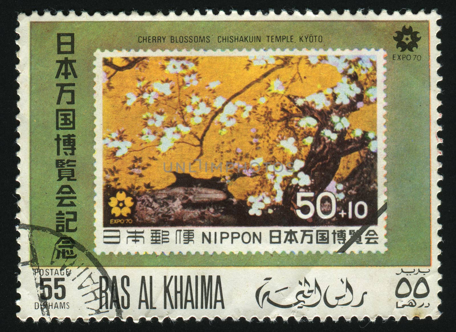 RAS AL KHAIMA - CIRCA 1970: In Japan the Oriental cherry blossoms, circa 1970.