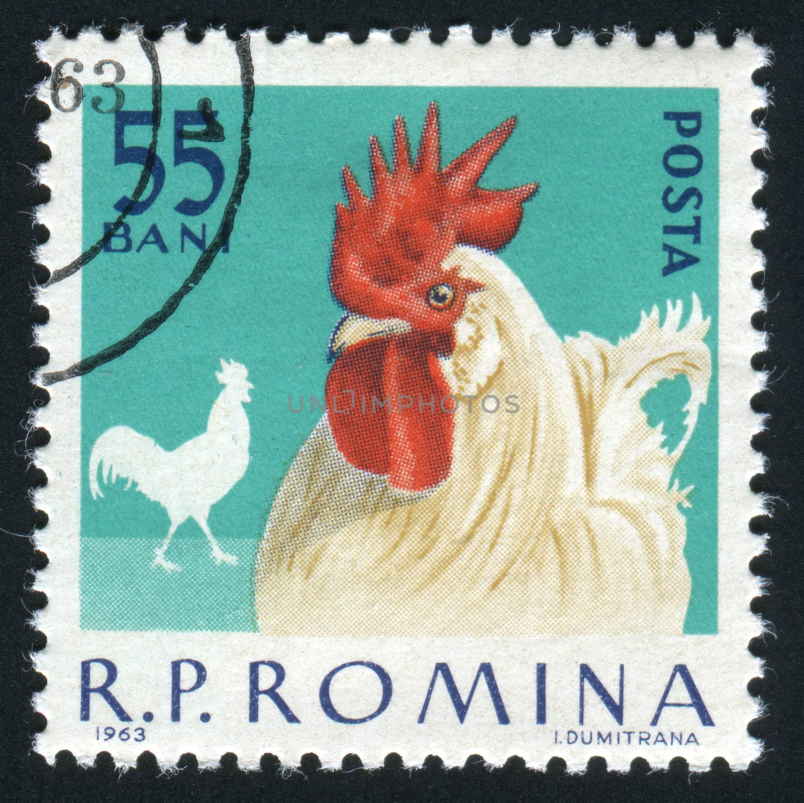 ROMANIA - CIRCA 1963: The image of a cock. Poultry, circa 1963.