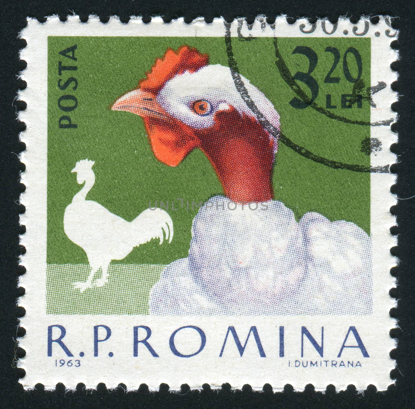 ROMANIA - CIRCA 1963: The image of a cock. Poultry, circa 1963.
