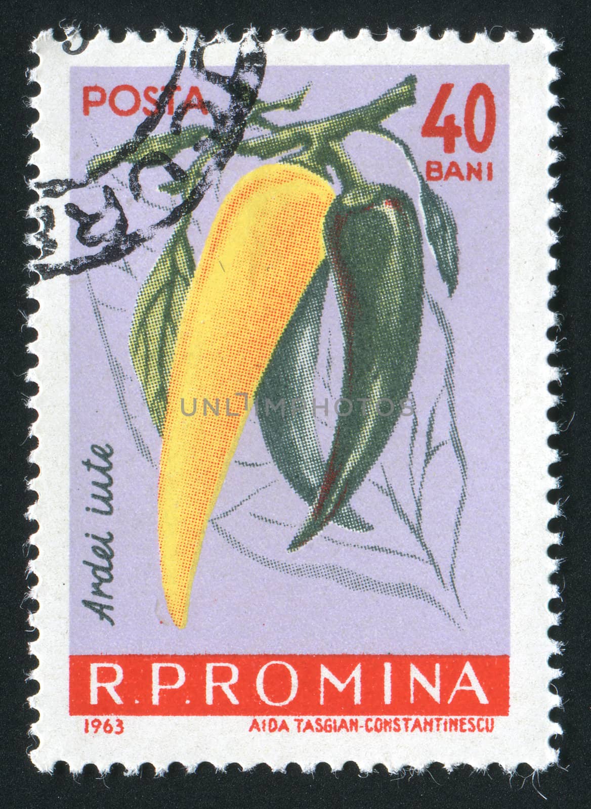 ROMANIA - CIRCA 1963: Hot pepper. Vegetables hang on a branch, circa 1963.
