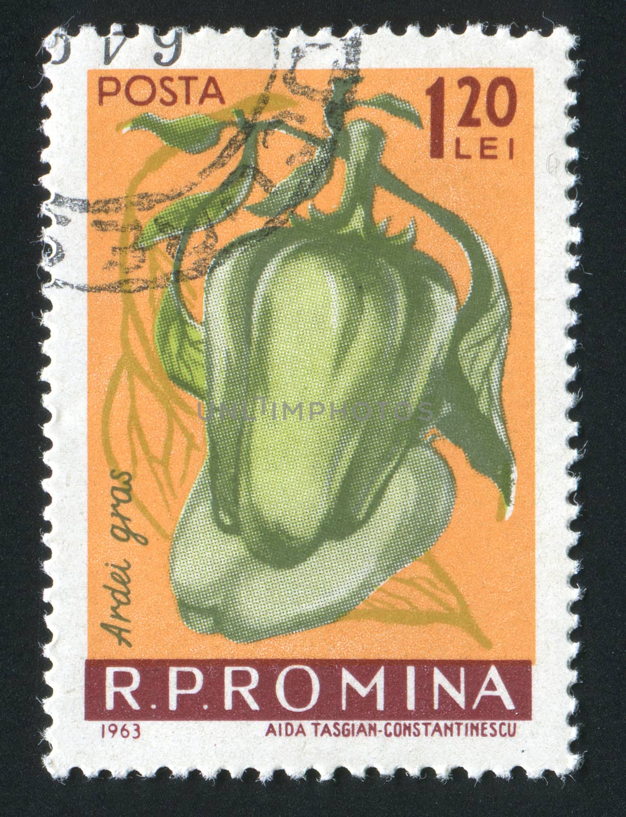 ROMANIA - CIRCA 1963: Mild peppers. Vegetables hang on a branch, circa 1963.