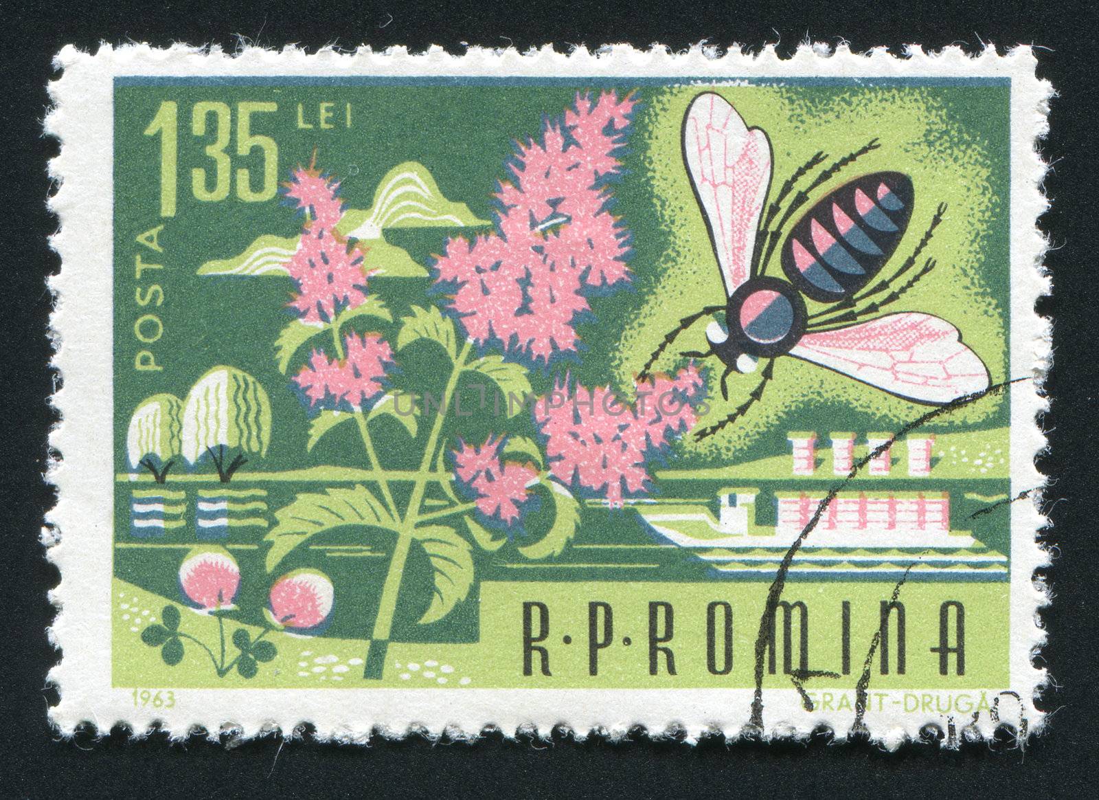 ROMANIA -CIRCA 1963: Bees are flying insects closely related to wasps and ants, and are known for their role in pollination and for producing honey and beeswax, circa 1963.