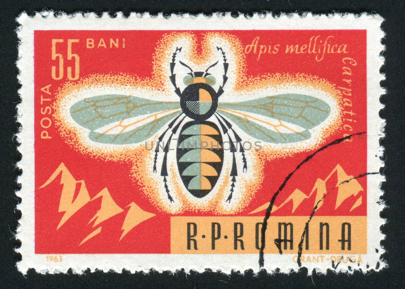 ROMANIA -CIRCA 1963: Bees are flying insects closely related to wasps and ants, and are known for their role in pollination and for producing honey and beeswax, circa 1963.