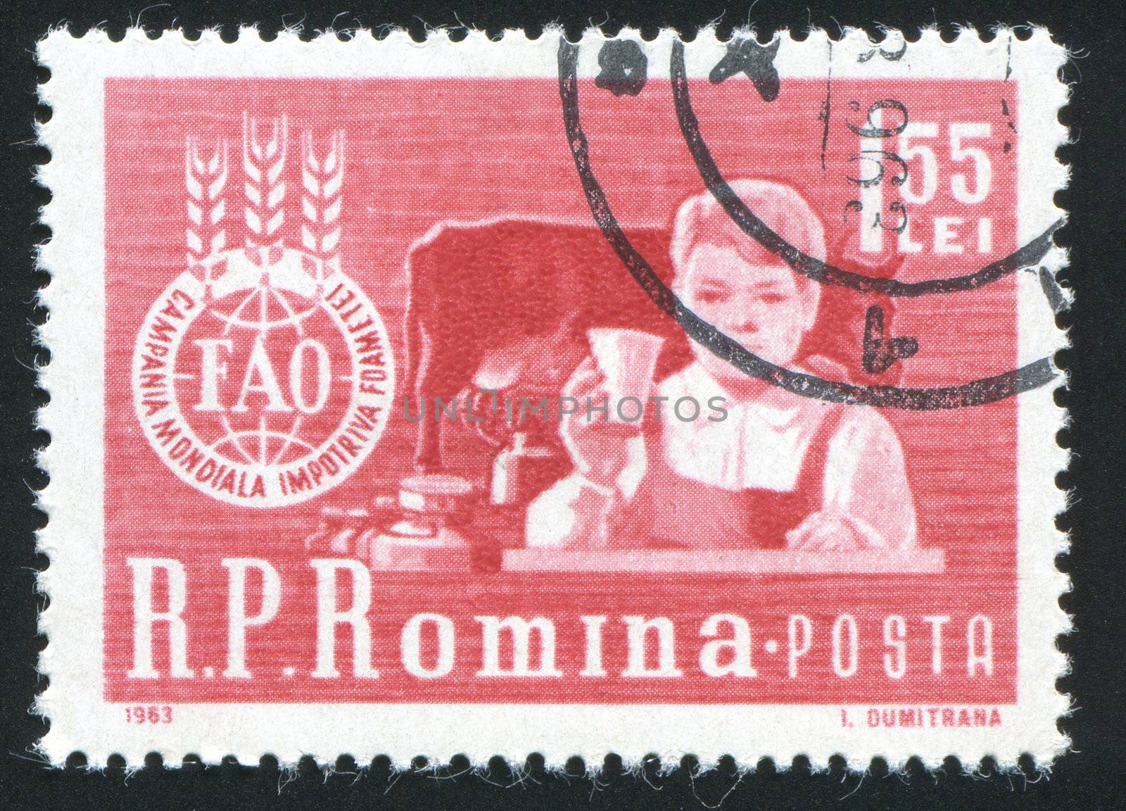 ROMANIA - CIRCA 1963: The charming kid. The boy sits at a table and �FAO� Emblem, circa 1963.