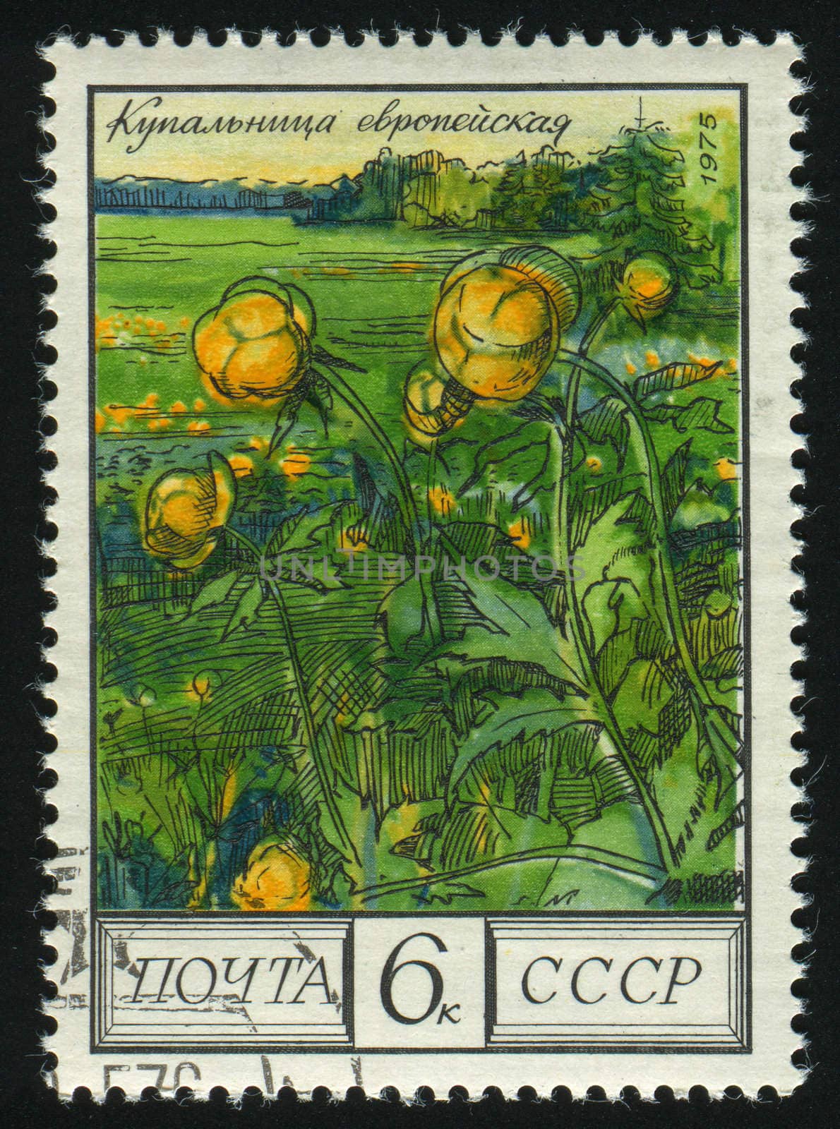 RUSSIA -CIRCA 1976: Flowers of the Caucasus: Checkered lily, circa 1976.