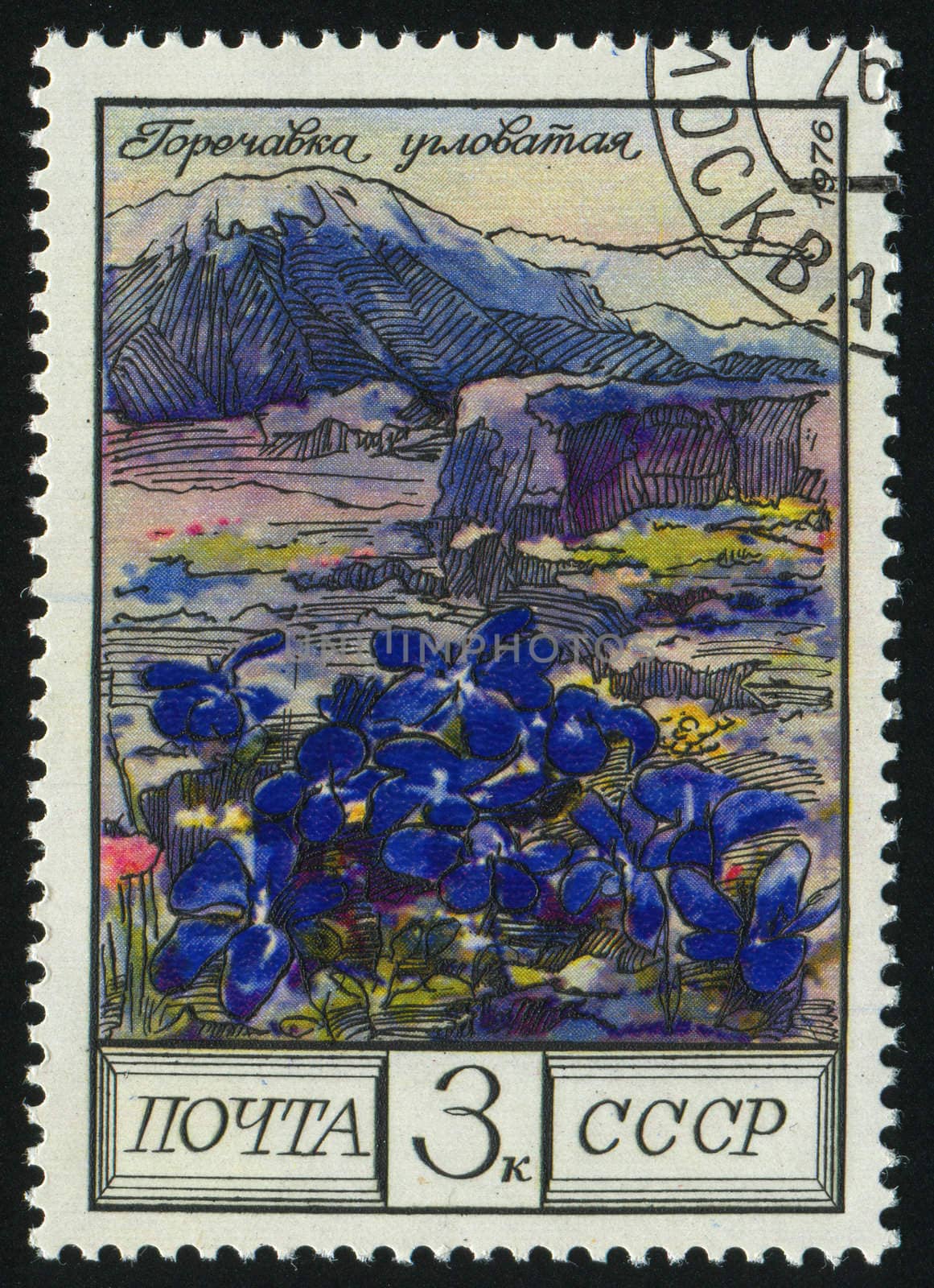 RUSSIA -CIRCA 1976: Flowers of the Caucasus: Gentian, circa 1976.