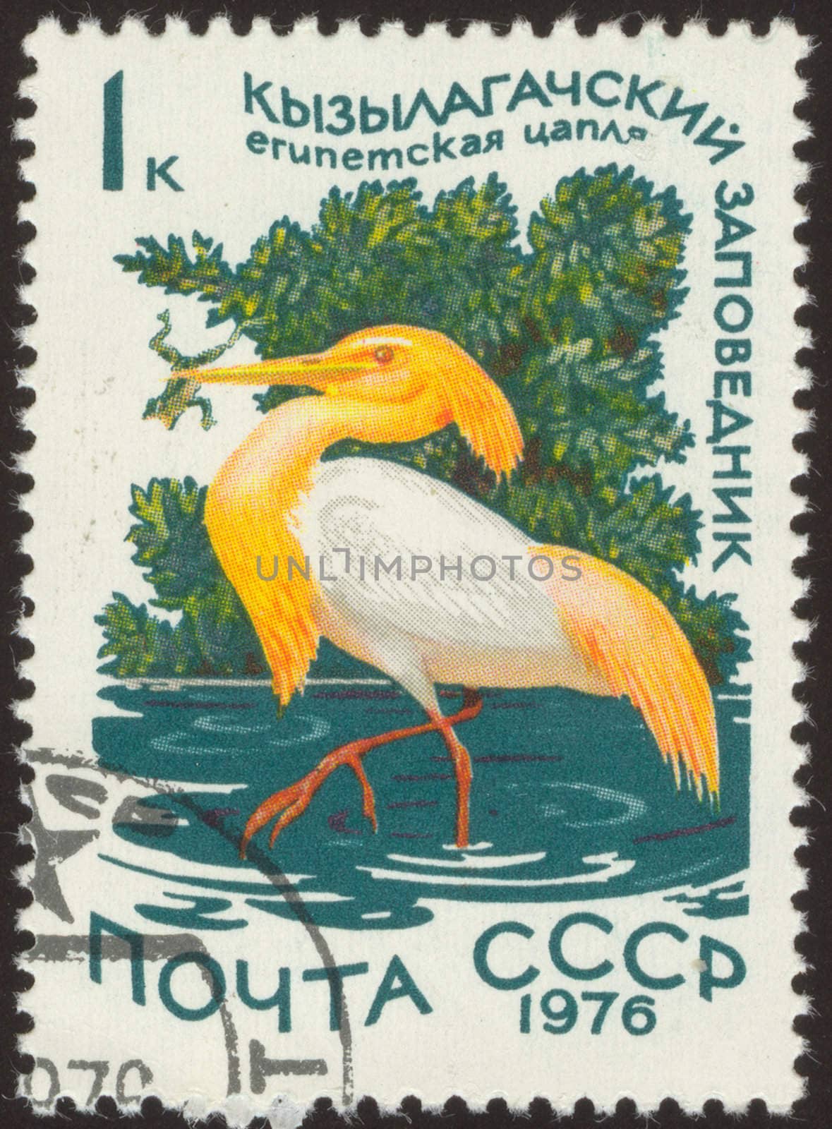 The scanned stamp. The Soviet stamp. The heron stands in water.