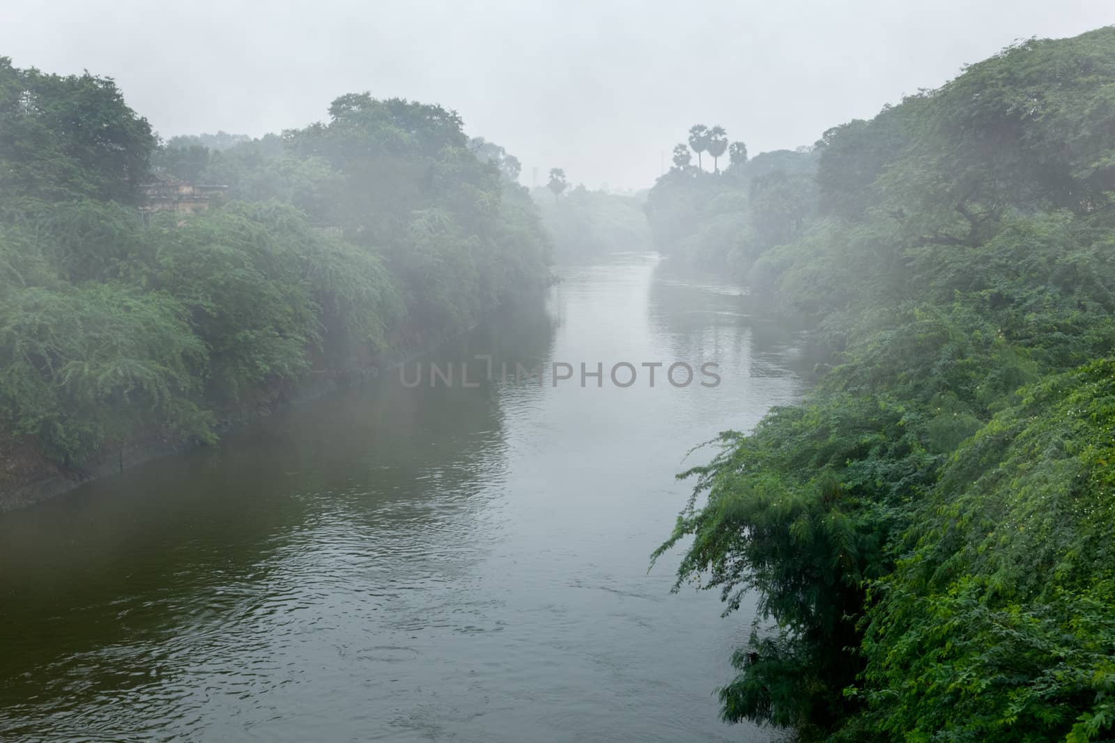 River in fog by dimol