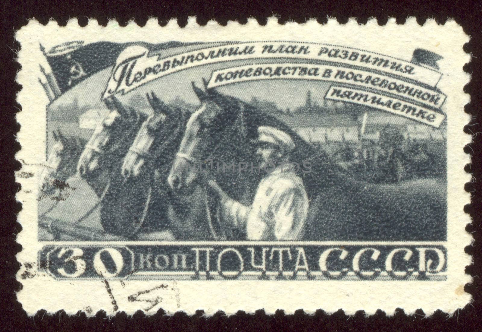 The scanned stamp. The Soviet stamp. Herd of horses. Cultivation of horses.