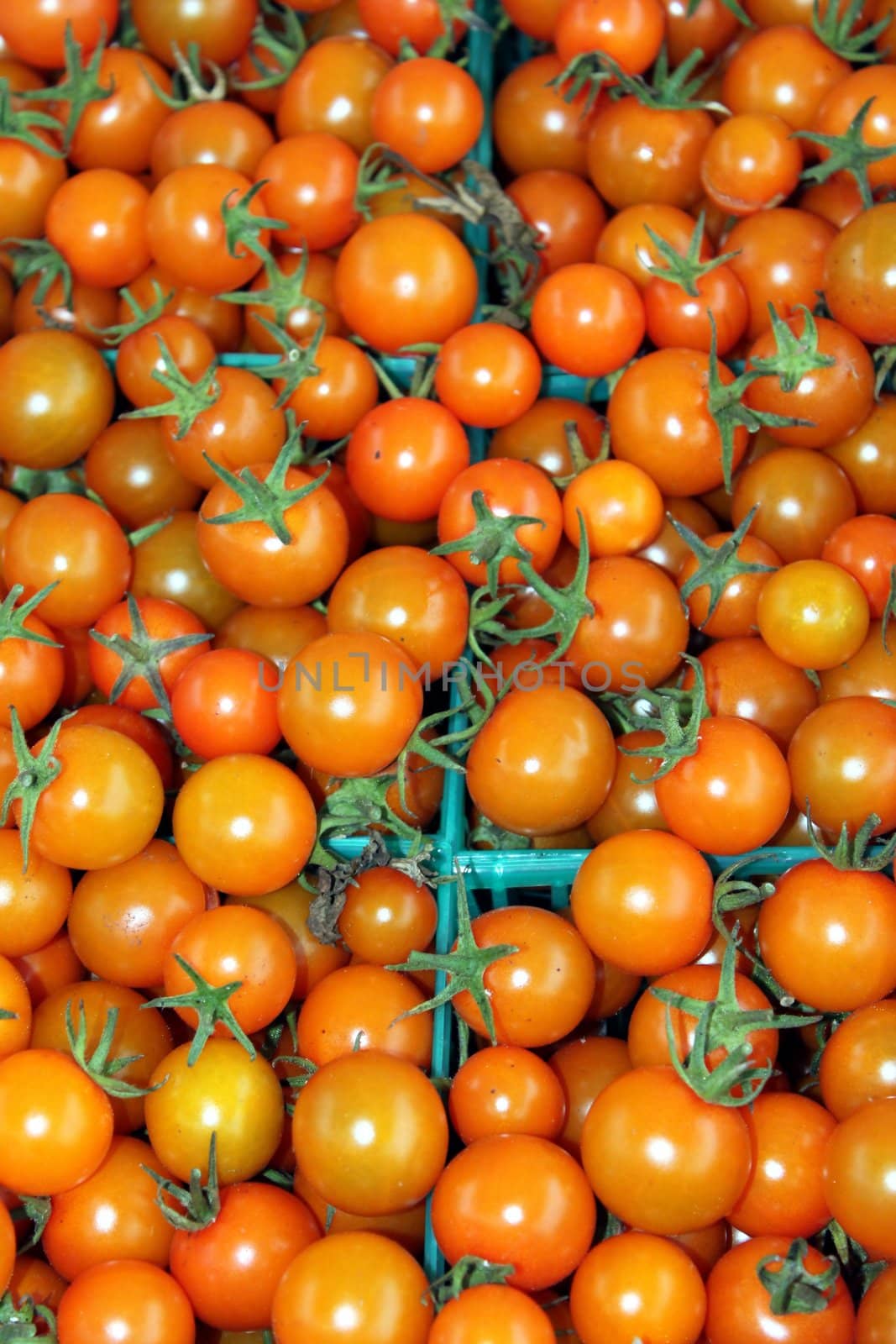 Orange cherry tomatoes at a farmers market in baskets