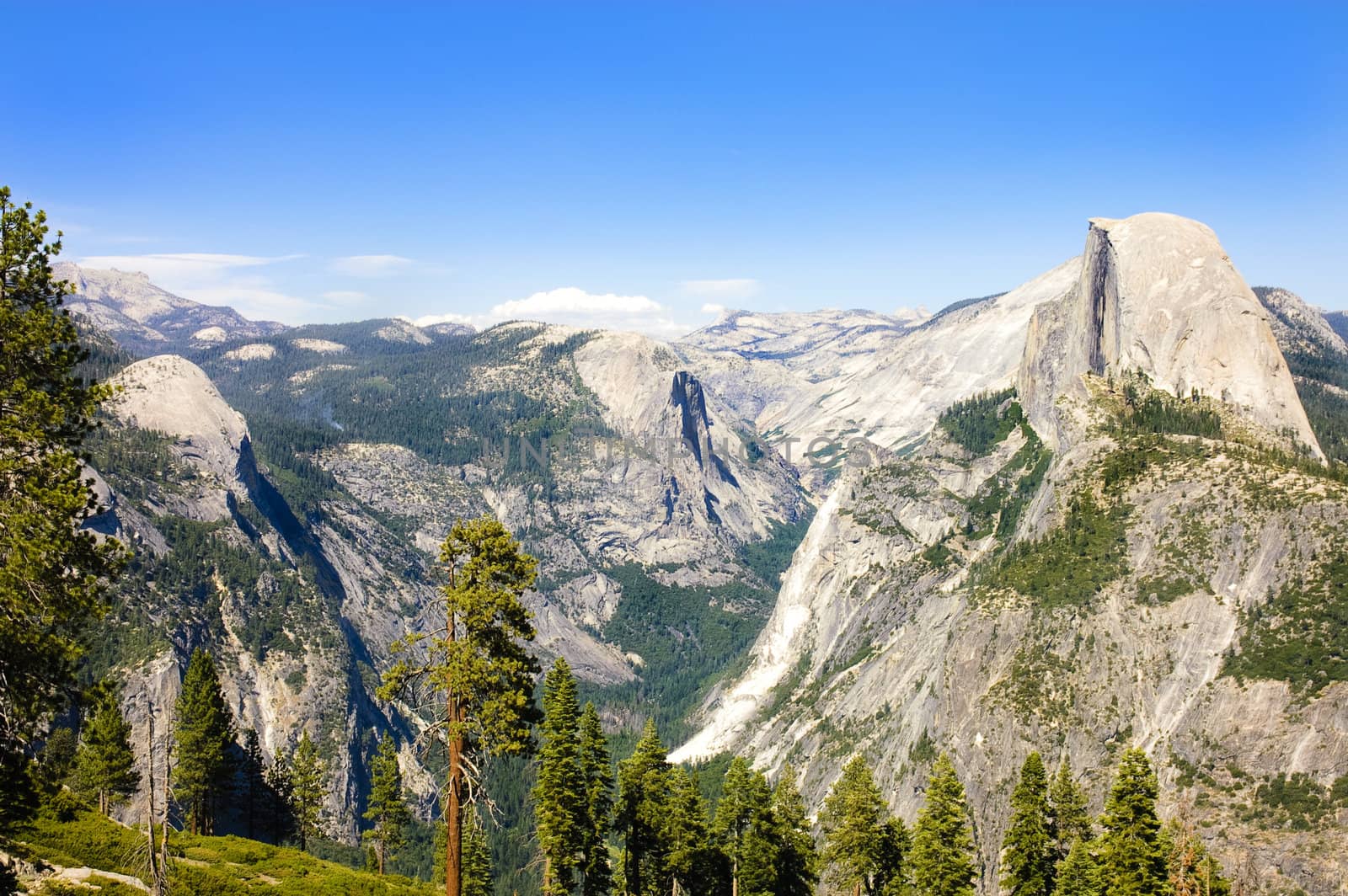 forest fire in Yosemite with half Dome, and the Sierra Nevadas 