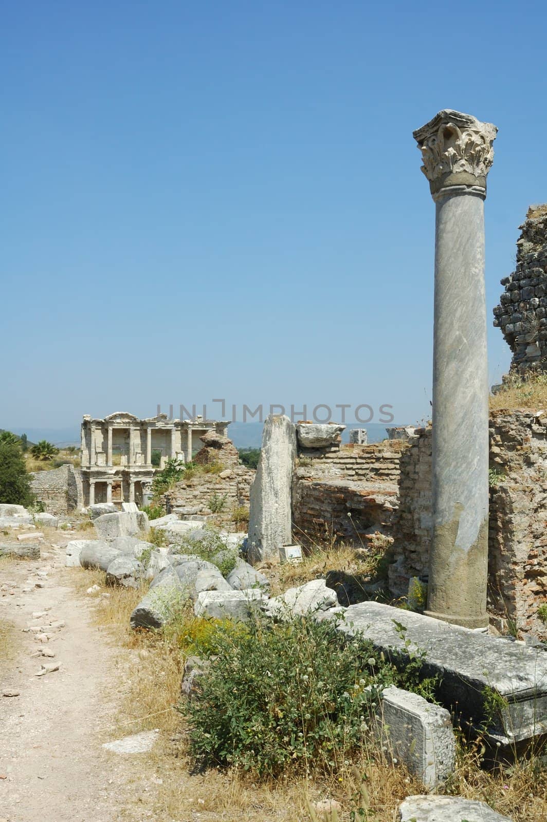 Roman street in Ephesus, Turkey with columns and the library of Celsus at the end