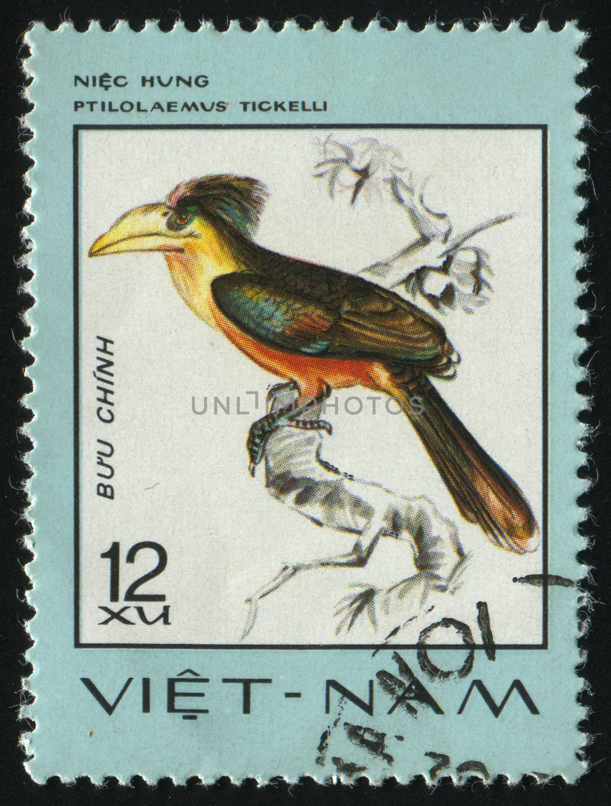 VIET NAM - CIRCA 1981: The big beautiful bird, circa 1981