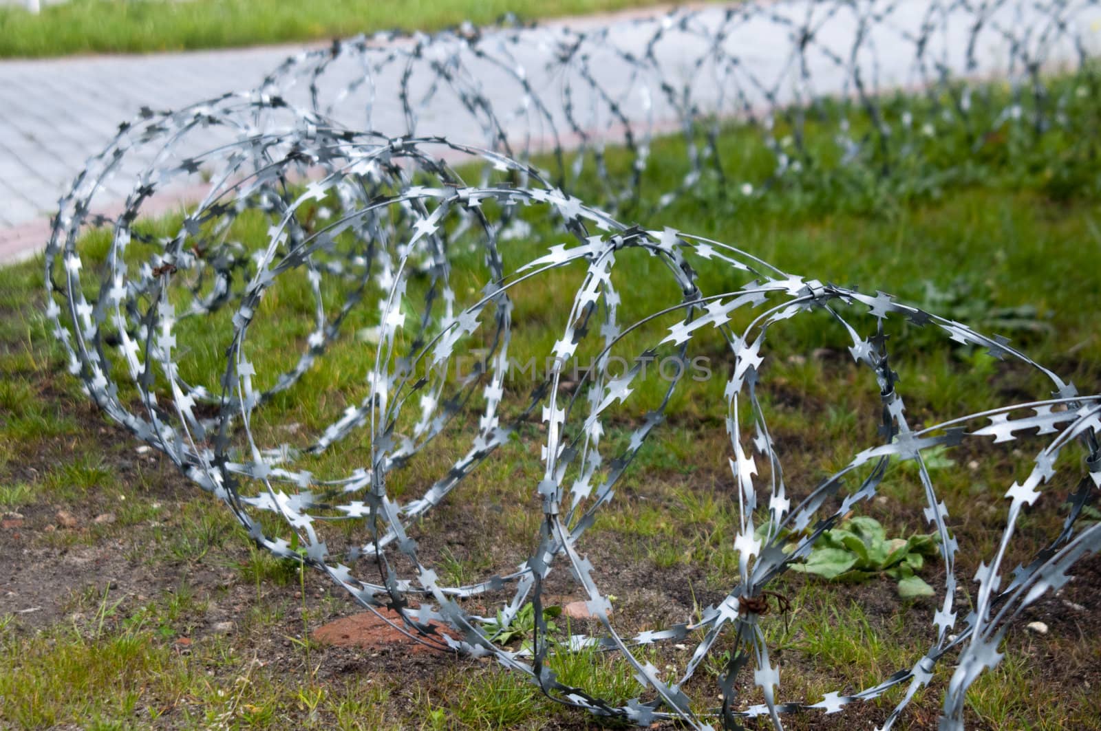 High resolution image. Fencing from a barbed wire. Prickly a wire on a grass.