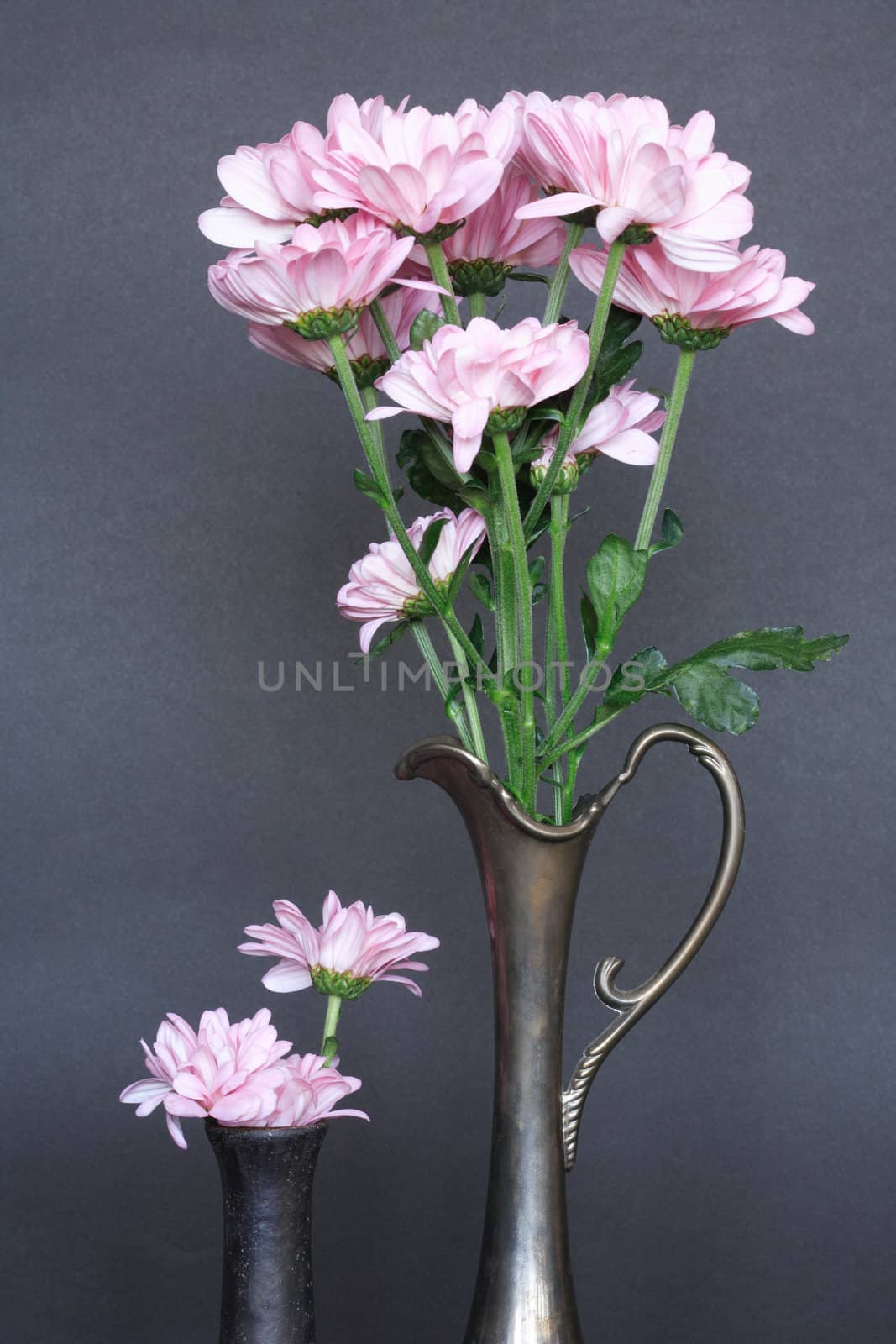 Two ancient vases with nice pink flowers on dark background