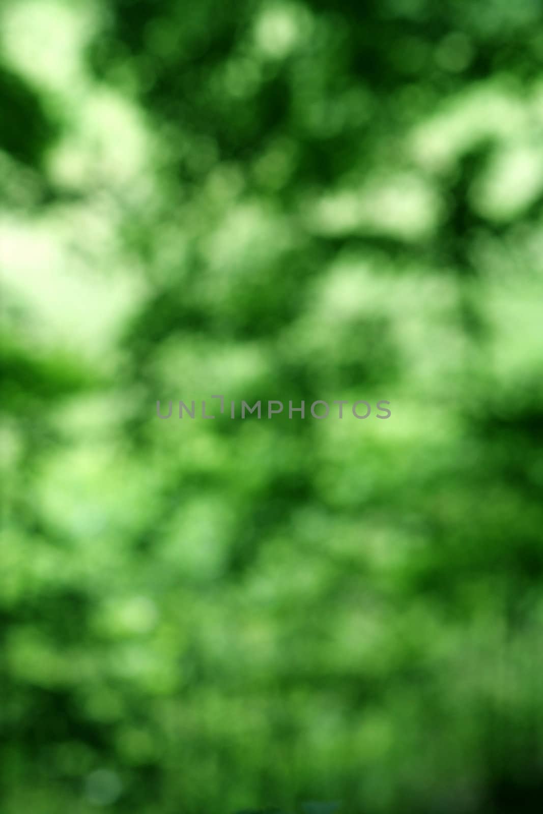 Blotchy Green Background
 by ca2hill