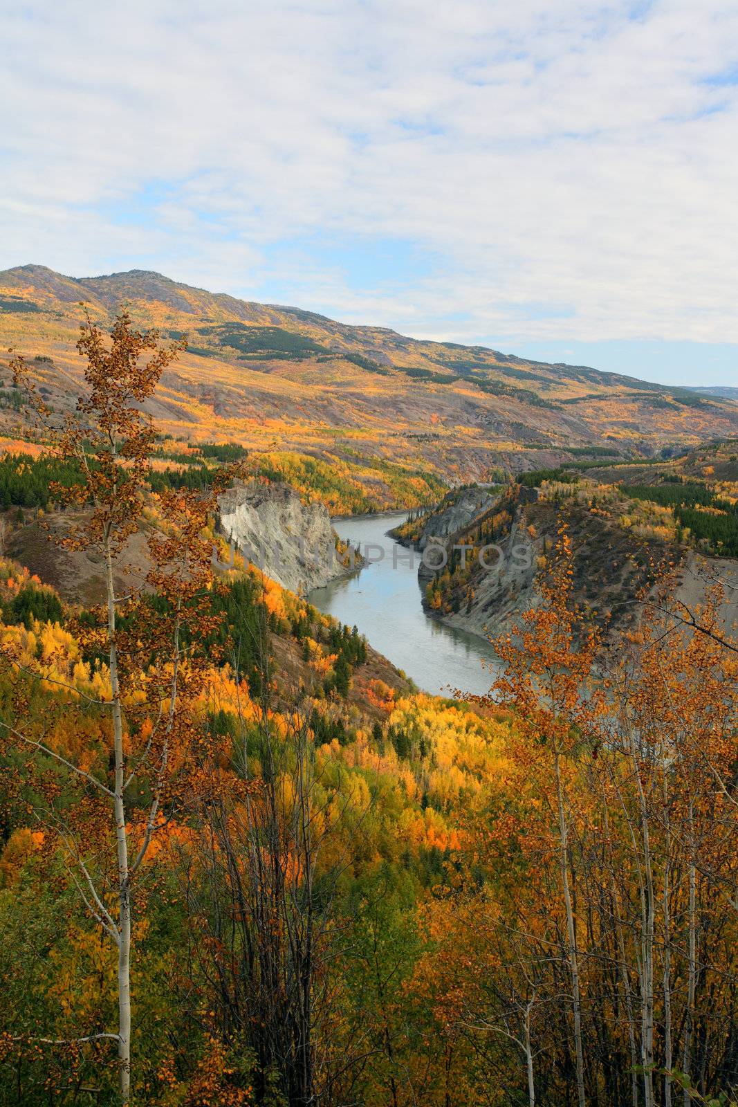 Grand Canyon of Stikine River in Northern British Columbia