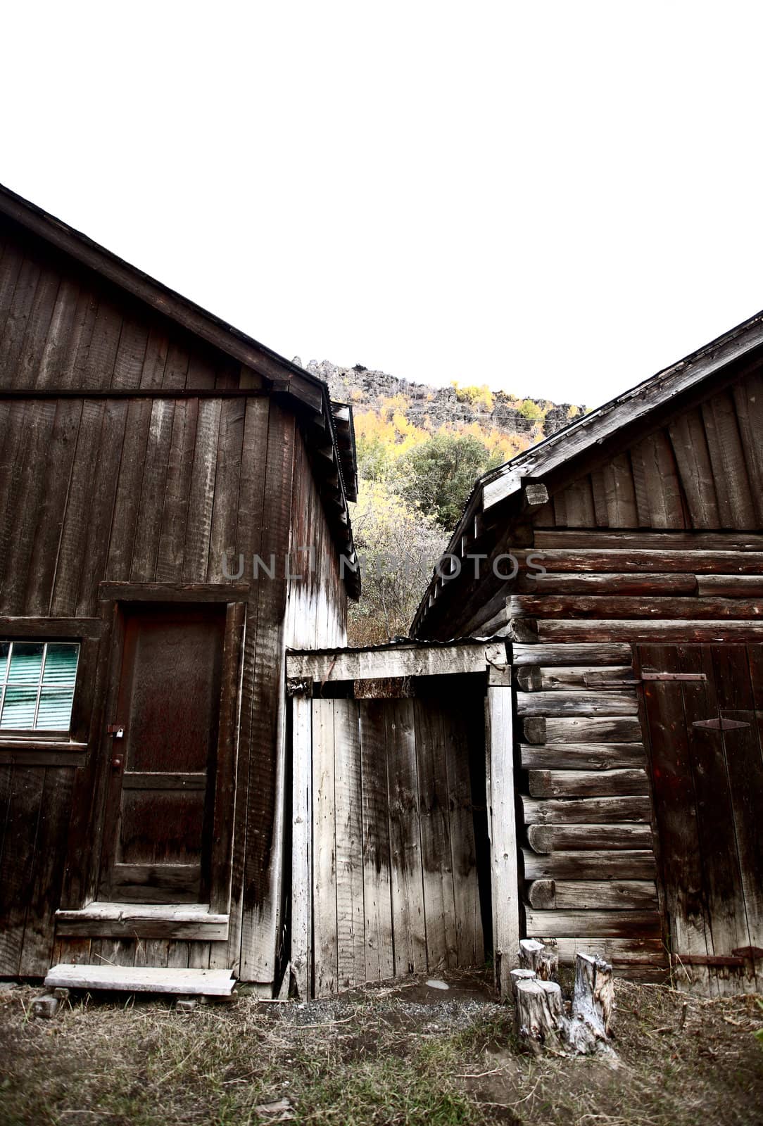 log buildings at Telegraph Creek in Northern British Columbia