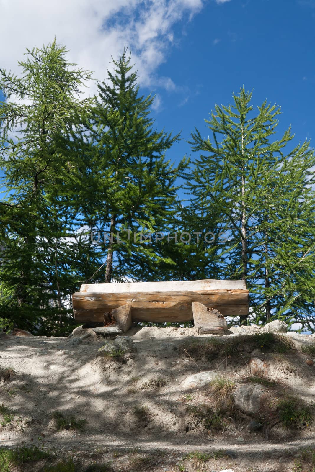 wooden bench betwwen trees in Italian Alps. Image slightly processed with hdr technique