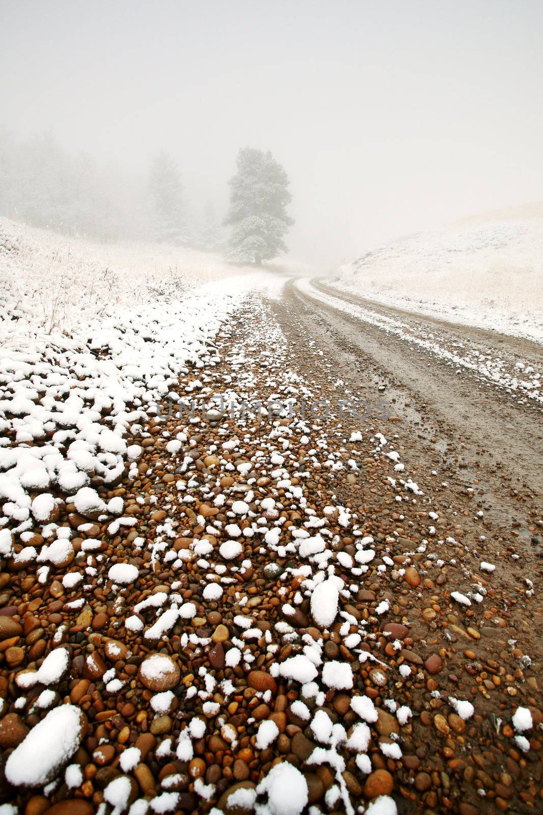 Ice fog in Cypress Hills Provincial Park of Saskatchewan