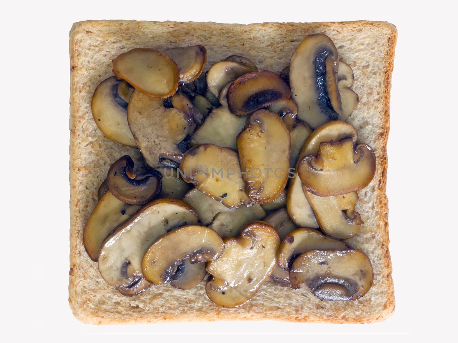mushroom sandwich by zkruger