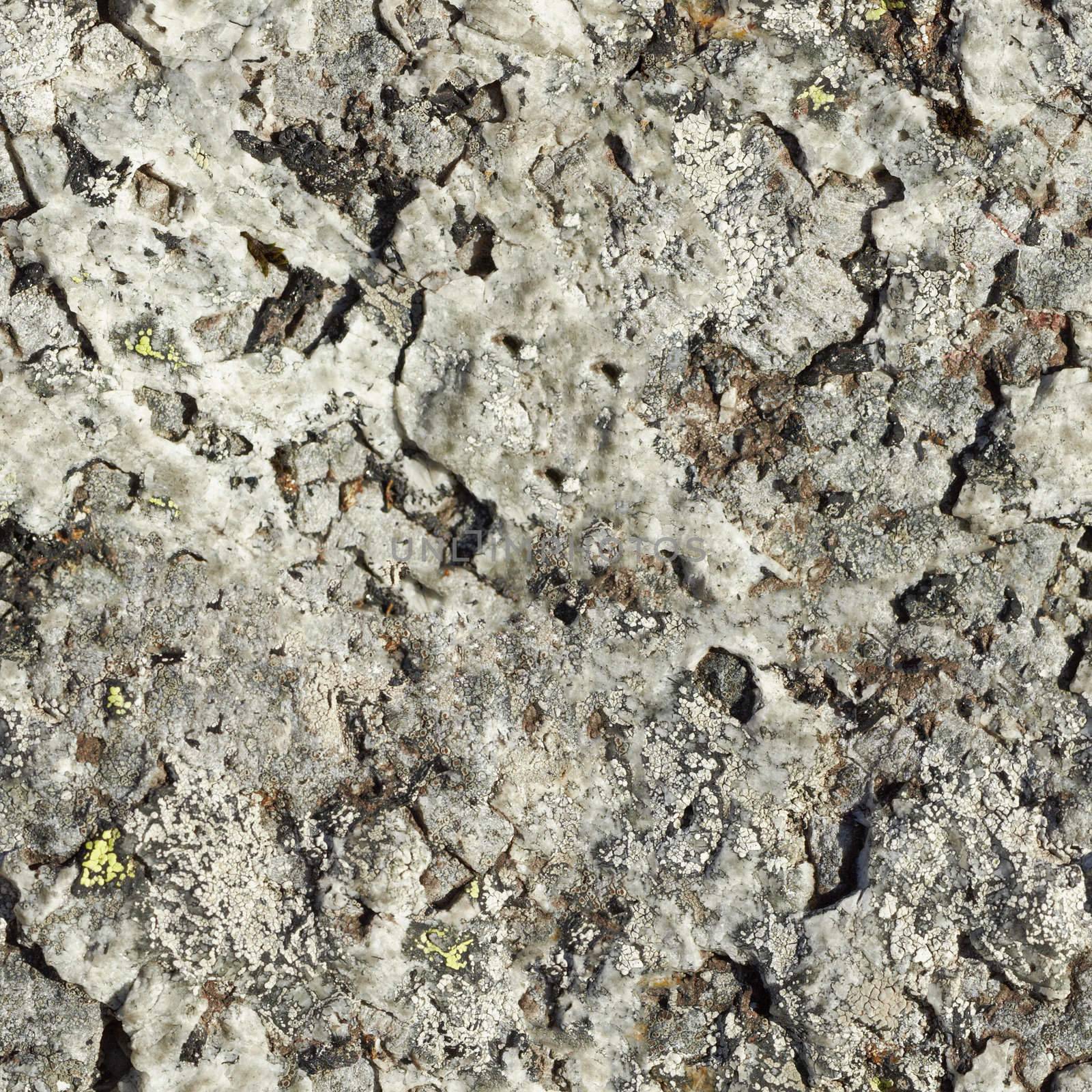 Surface of natural gray rock - seamless texture by pzaxe