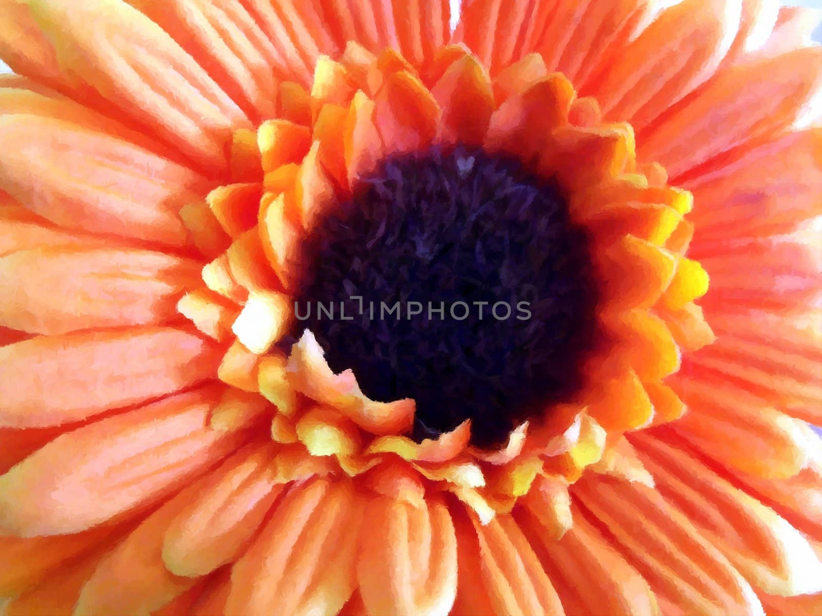 Painting of an orange flower.