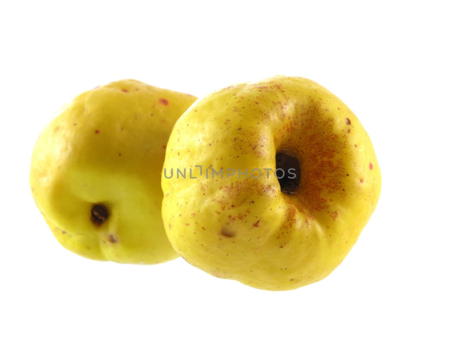 series of vegetables and fruits: quince isolated on white background