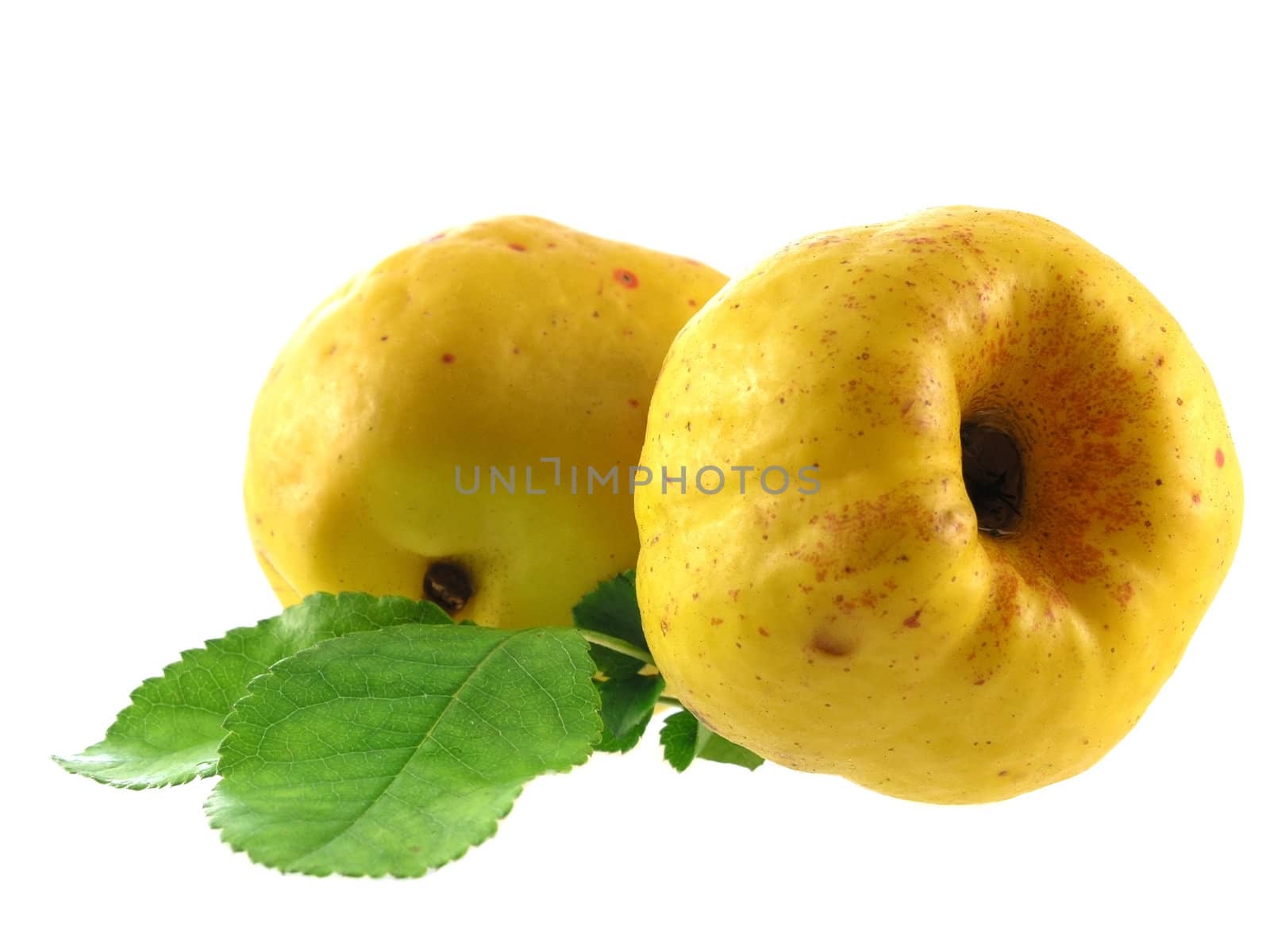 series of vegetables and fruits: quince isolated on white background