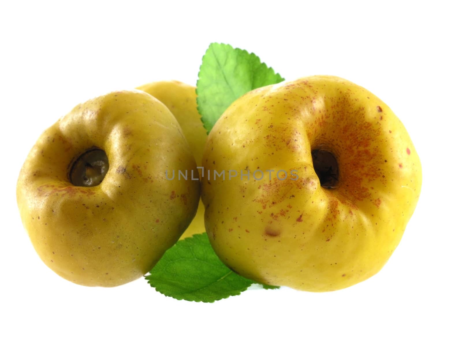 series of vegetables and fruits: quince isolated on white background