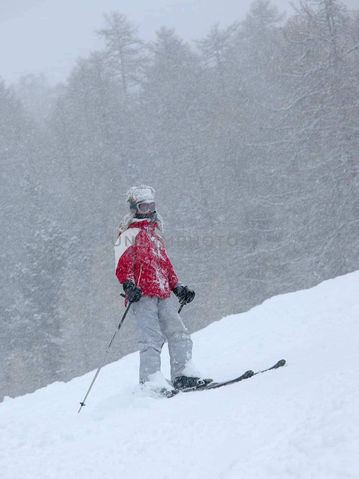 Skier in a heavy snow storm
