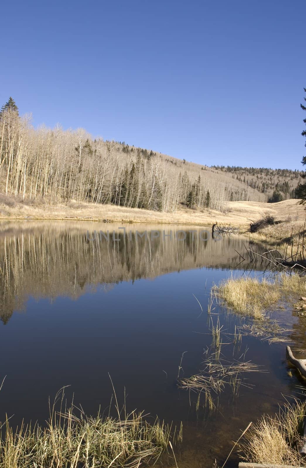 reflections in a mountain lake