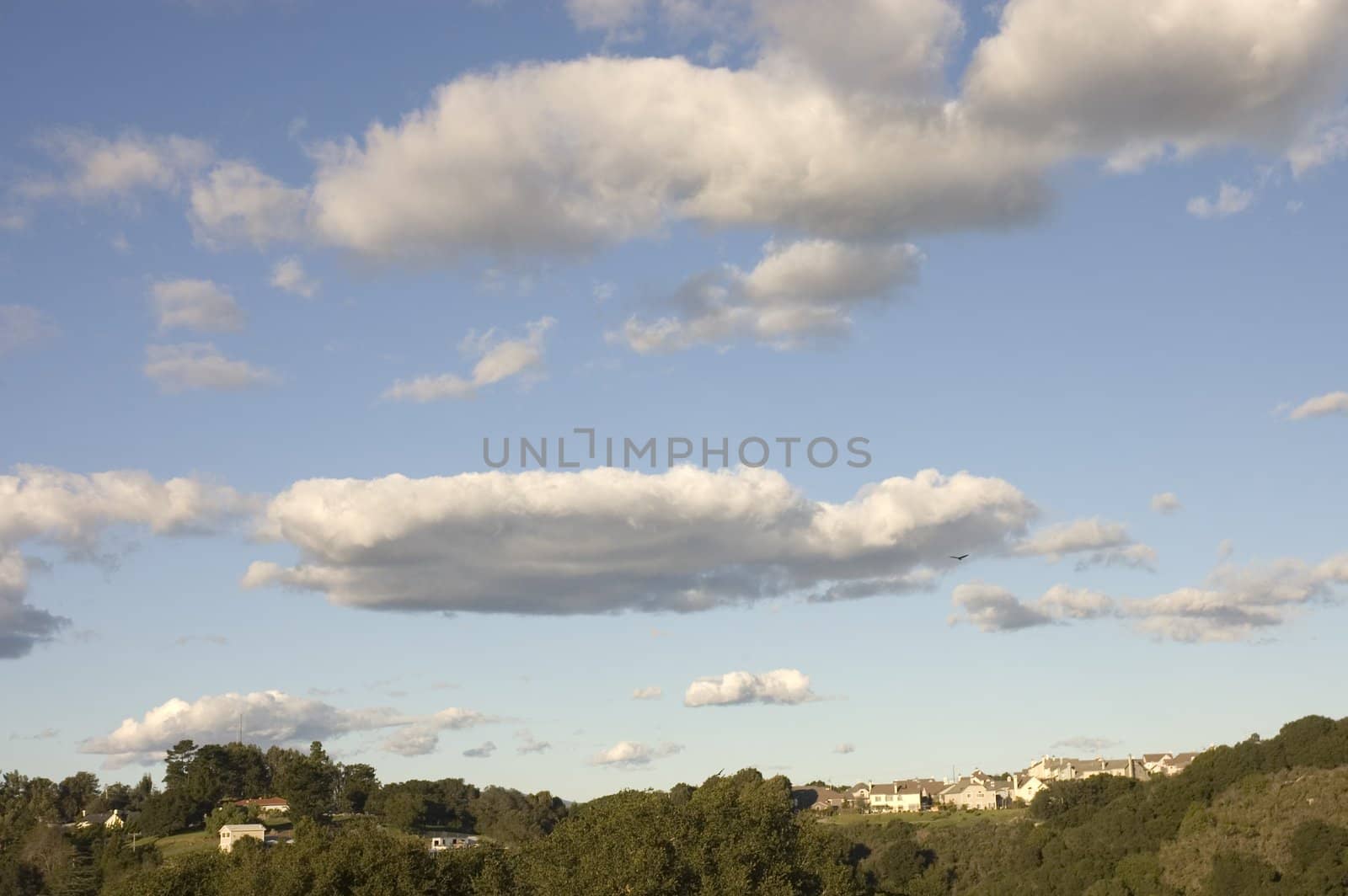 Cumulus clouds over the hills with several turkey vultures flying around