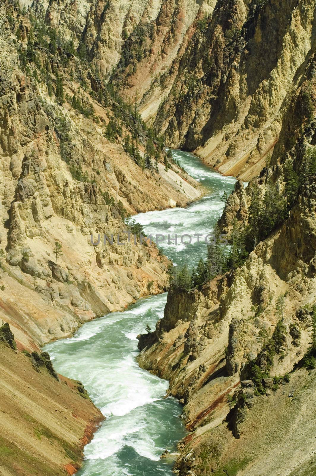 Gorge of the yellowstone river in Yellowstone National Park, Wyoming