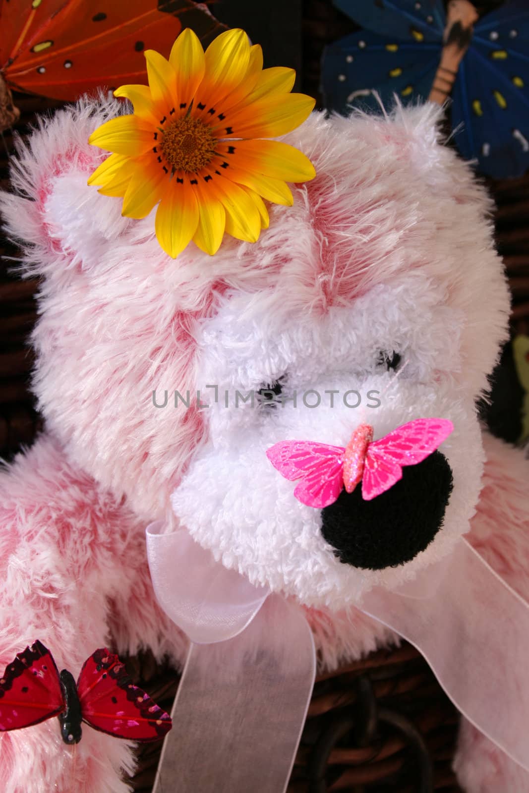 A pink teddy bear with a butterfly on its nose
