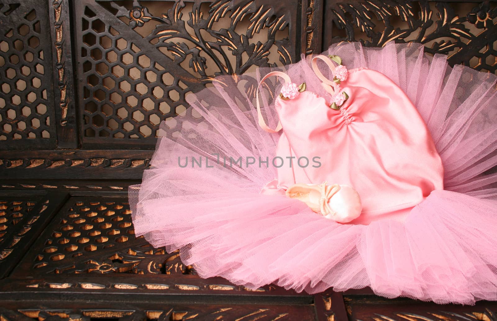 Pink Ballet costume and miniature shoe on a rustic background