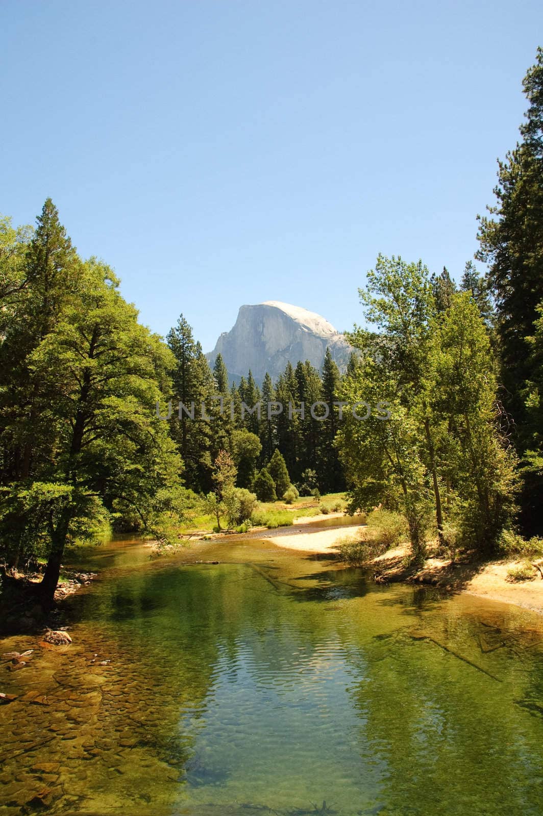 view of half dome in the summer form the Merced river